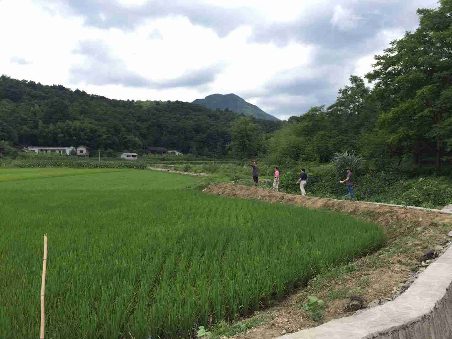 漣源市大龍農業開發有限公司,長(cháng)沙袁酒原材料基地管理(lǐ),白酒銷售,酒類銷售哪裏好